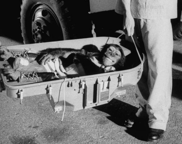 Întoarcerea pe Pământ a cimpanzeului care a zburat 16 minute în spațiu, 1961