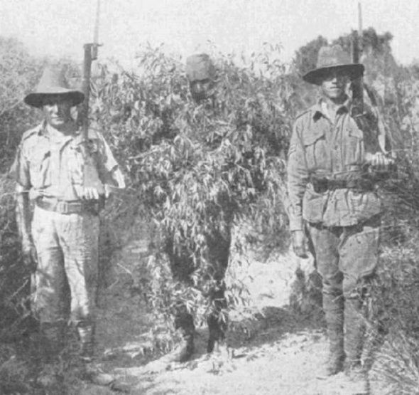 Un lunetist turc deghizat în copac este prins, iunie, 1915