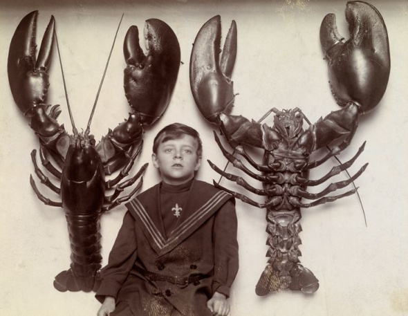 Băiat aflat între doi homari uriași prinși în largul coastei New Jersey, 1915