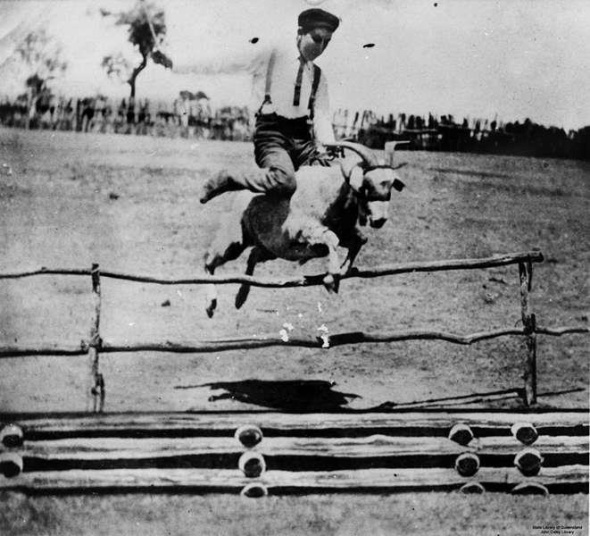 Echitație, Blackall, Queensland, 1905