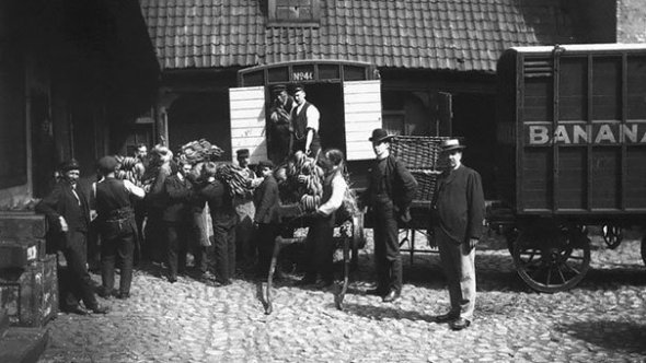Norvegia primește primul transport de banane, 1905
